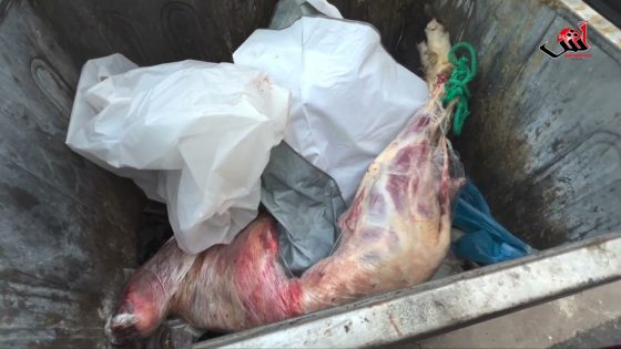 حولي ب5700 درهم تلاح فالبركاصة .. من بعد ما ذبحوه اكتاشفو أن ريحتو خانزة و لون لحمو زرق