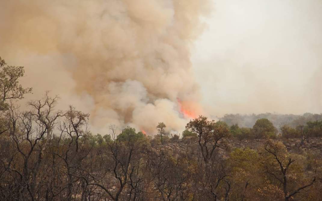 Les for??ts de Beni Ider (commune Kharroub, ca??dat de Jbel Lahbib) connaissent plusieurs incendies. 16072022 ??? T??touan