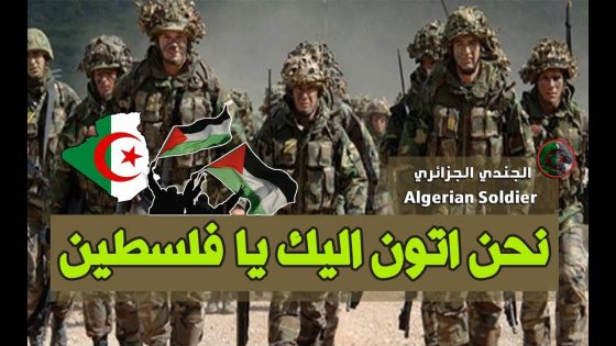 القوة الضاربة الديماغوجية لن تنجد غزة ولن تحرر فلسطين