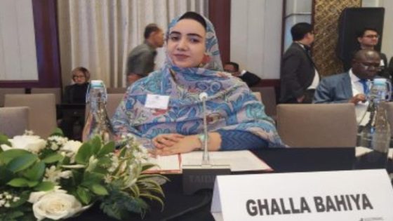الأمم المتحدة.. غلا بهية تستعرض بنيويورك الدينامية السوسيو-اقتصادية في الصحراء المغربية