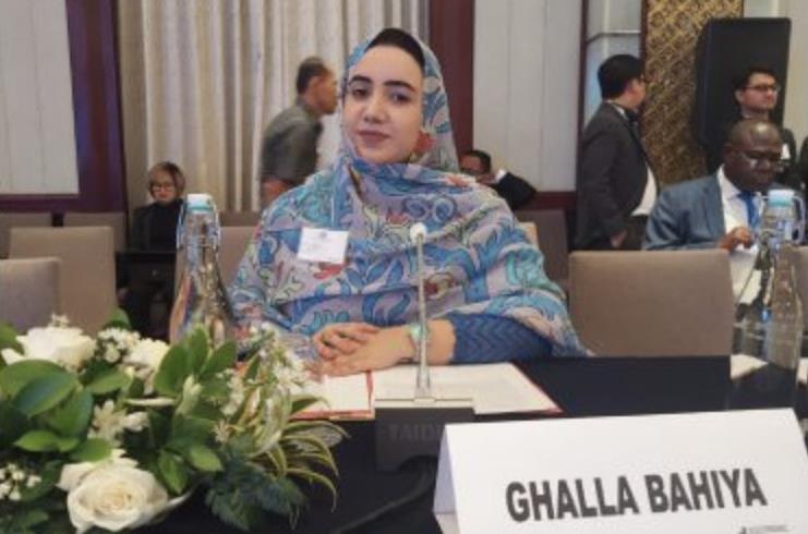 الأمم المتحدة.. غلا بهية تستعرض بنيويورك الدينامية السوسيو-اقتصادية في الصحراء المغربية