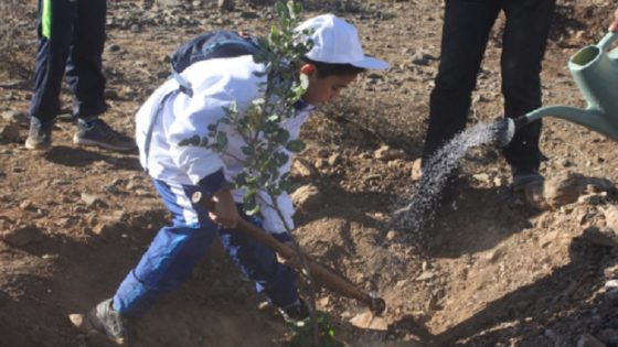 اليوم العالمي لمكافحة التصحر والجفاف.. مناسبة للتوعية بأهمية التدبير المستدام للأراضي
