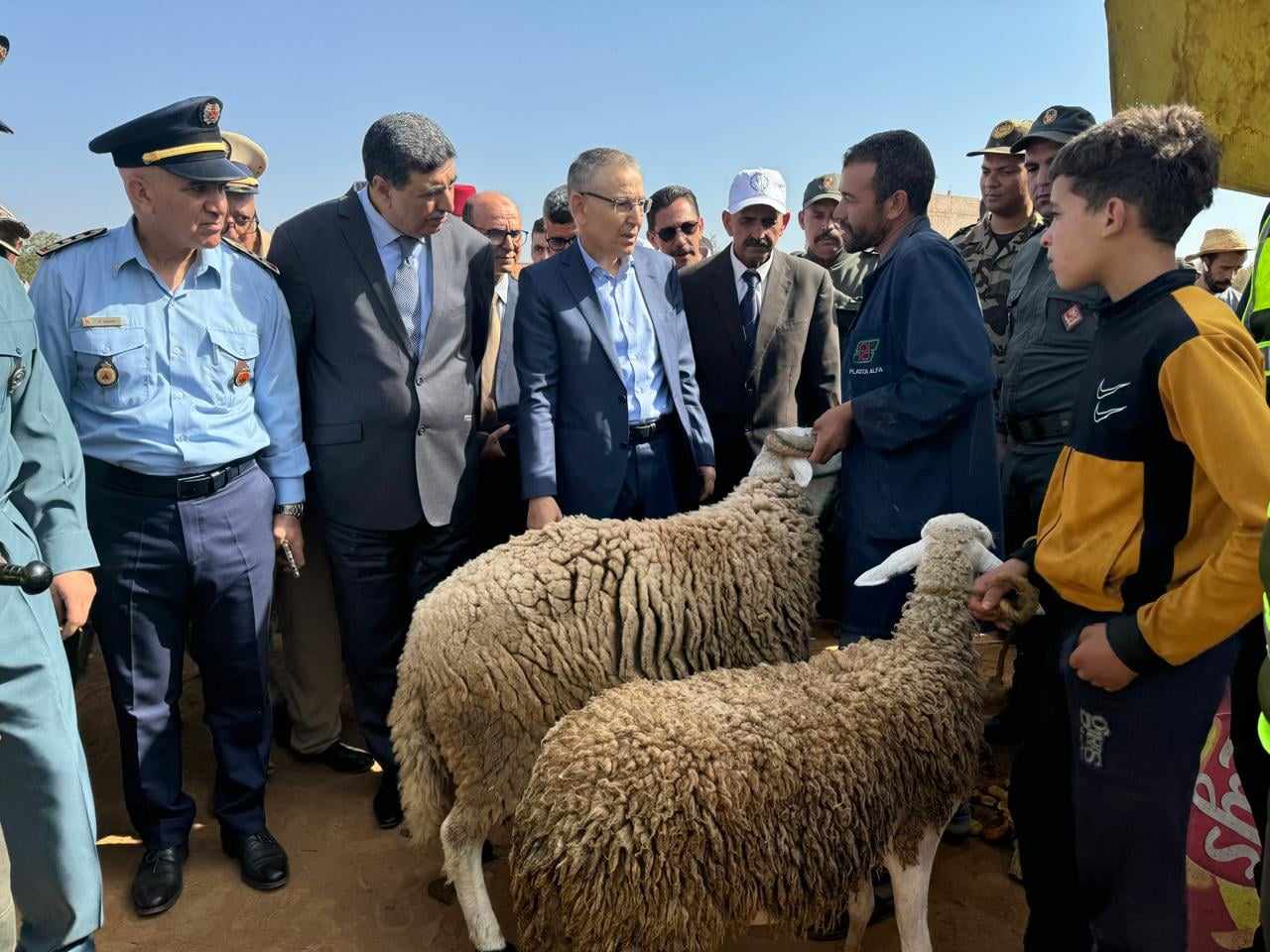 والي بني ملال يتتبع ميدانيا أسواق بيع الأضاحي ويحث على التصدي للمضاربين