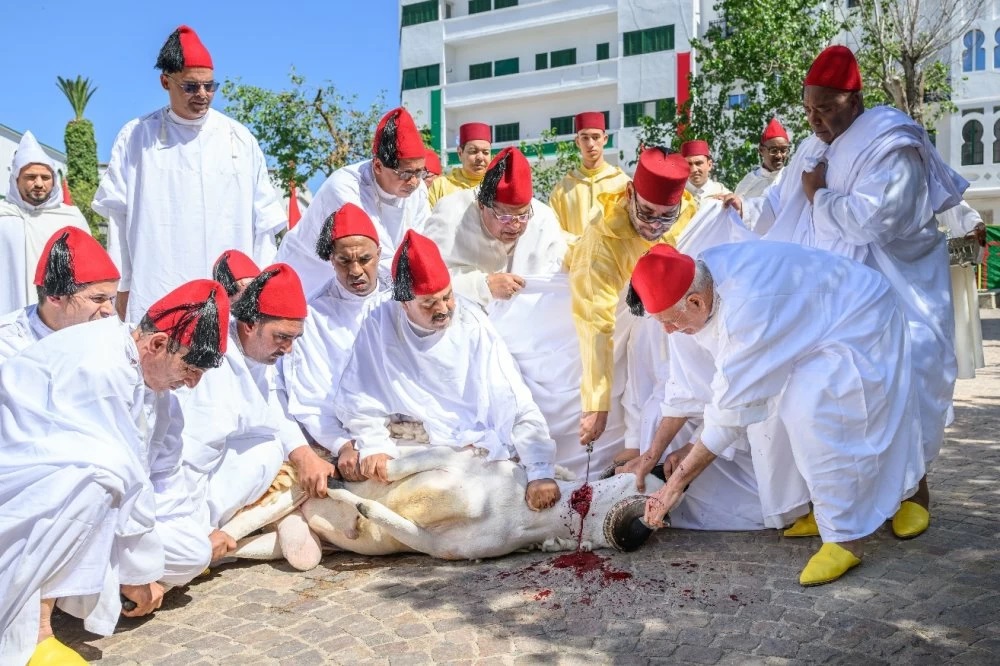 أمير المؤمنين يؤدي صلاة عيد الأضحى المبارك بمسجد الحسن الثاني بتطوان ويتقبل التهاني بهذه المناسبة السعيدة