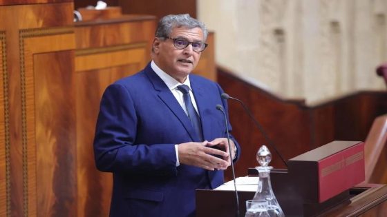 برنامج دعم السكن.. رئيس الحكومة: عدد المستفيدين بلغ 17 ألف، 22 في المائة منهم مغاربة مقيمون بالخارج