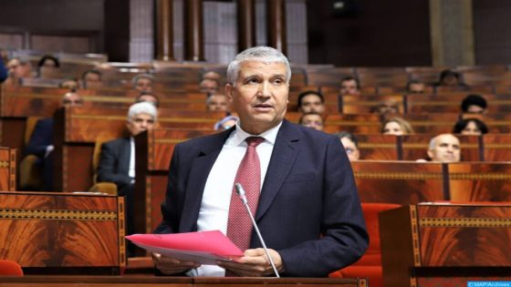 المعارضة الاتحادية تطلب حضور وزير الفلاحة والصيد البحري إلى مجلس النواب