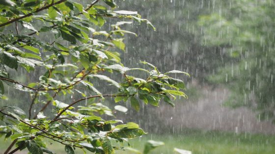 زخات رعدية قوية مصحوبة برياح عاصفية ستهم اليوم الإثنين عددا من المناطق المغربي
