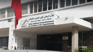 المكتب الوطني المهني للحبوب والقطاني يعلن إطلاق نظام جديد للتصريح بالحبوب والقطاني