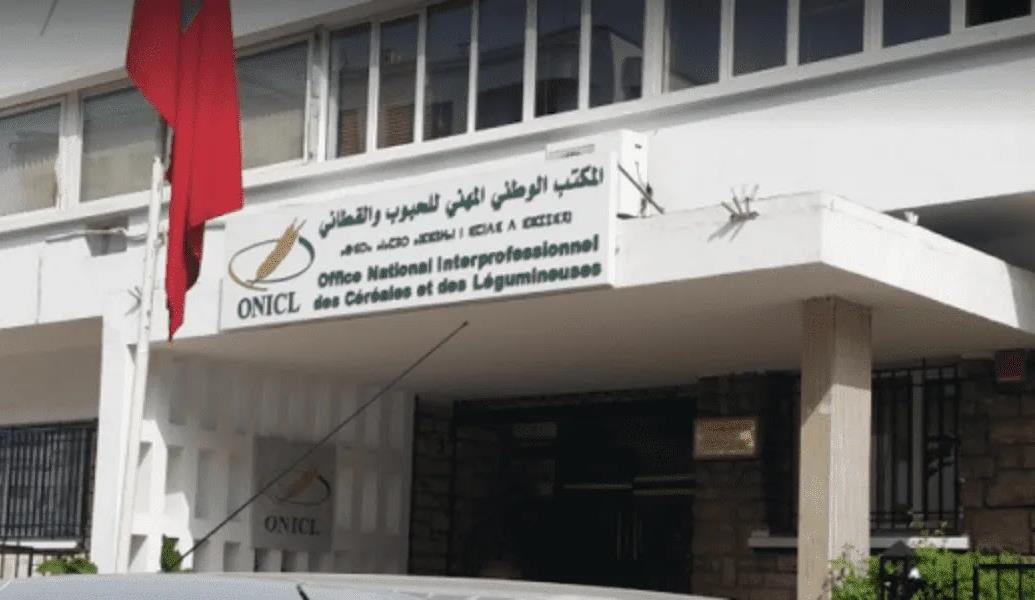 المكتب الوطني المهني للحبوب والقطاني يعلن إطلاق نظام جديد للتصريح بالحبوب والقطاني