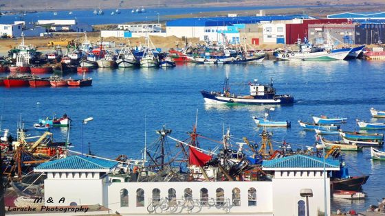 حتى متم غشت الماضي مفرغات الصيد الساحلي والتقليدي بميناء العرائش بلغ 10 آلاف و700 طن