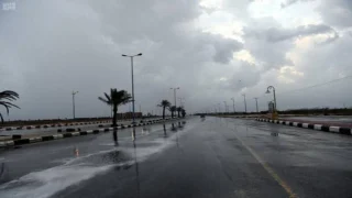 أمطار رعدية مرتقبة ليومين متتاليين ومسؤول بالأرصاد يوضح