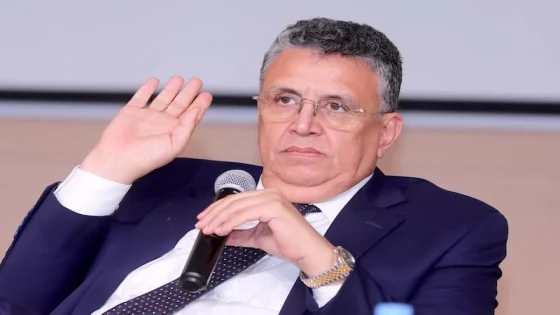 وزير العدل: شهادة السوابق هي المعيار الوحيد لمحاسبة السياسيين