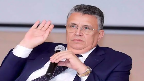 عبد اللطيف وهبي: تنفيذ الأحكام القضائية من أهم الضمانات لحماية الحقوق