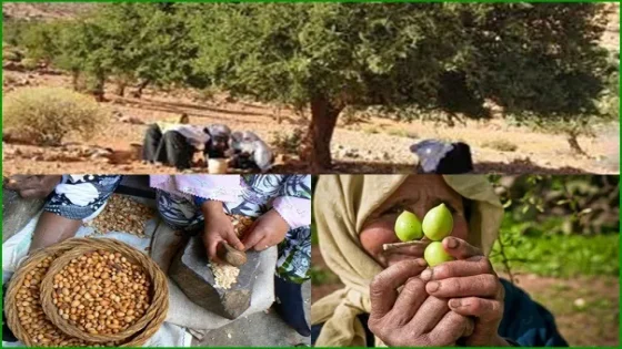 لعبة أخرى مفضوحة لالتهام أموال الشعب ! مشروع الأركان يتحول إلى مجرد ألاعيب
