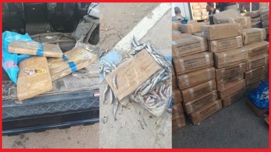 ضربة قاصمة لعصابات التهريب: إحباط محاولة ضخمة لتهريب 3 أطنان و575 كيلوغرام من الشيرا بالكركارات
