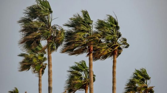 نشرة إنذارية: هبات رياح قوية مع تطاير الغبار بعدد من مناطق المملكة