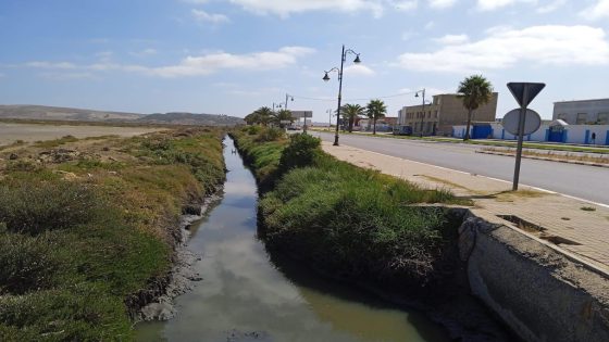 العثور على جثة خمسيني داخل خندق مياه بالعرائش
