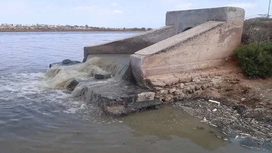 يوسف بيزيد يوجه سؤالًا كتابيًا إلى وزير التجهيز والماء بشأن تدهور مصب نهر أم الربيع