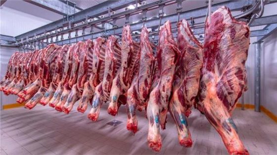 مندوبية التخطيط تعلن ارتفاع أسعار اللحوم والزيوت بالمغرب