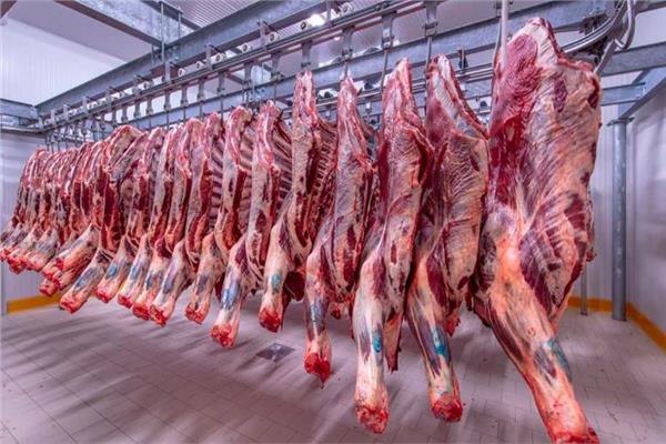 مندوبية التخطيط تعلن ارتفاع أسعار اللحوم والزيوت بالمغرب