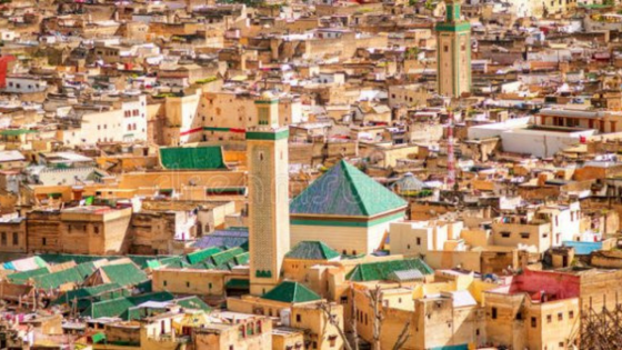 لقجع ينفي إقصاء فاس من تنظيم كأس العالم 2030