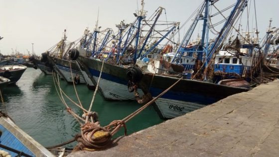 جريمة قتل بشعة تهز ميناء الداخلة.. بحار يطعن زميله حتى الموت على متن سفينة صيد