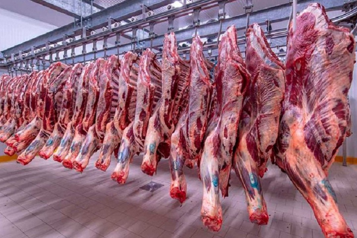 وزارة الفلاحة تنفي قرار وقف استيراد اللحوم المجمدة وسط تساؤلات برلمانية حول تداعيات محتملة