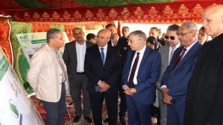 وجدة: برنامج استعجالي لإعادة تأهيل وتثمين الغابة الحضرية لسيدي معافة
