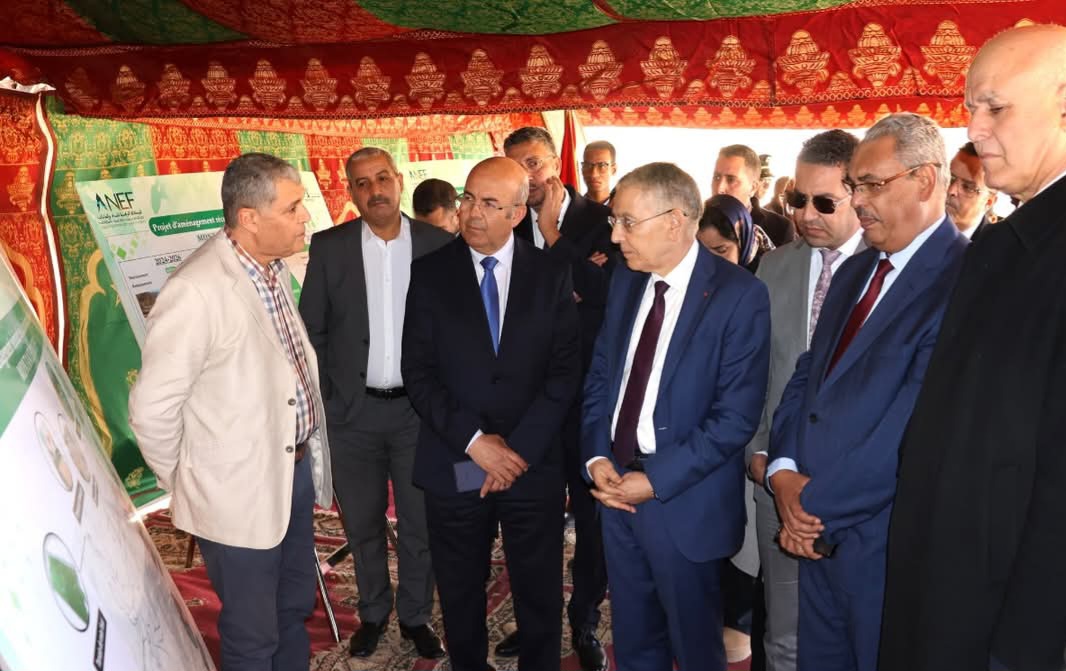وجدة: برنامج استعجالي لإعادة تأهيل وتثمين الغابة الحضرية لسيدي معافة