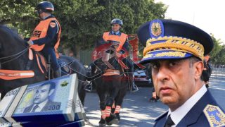 الحموشي سيفط مدير مدرسة الخيالة السابق لي كان غيدوز والي للقضاء بسباب فضيحة إستيراد خيول مريضة كان مقررا إلحاقها بفرق محاربة الشغب و الي ثمن ديالها غالي بزاف