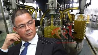 تراجع إنتاج الزيتون في المغرب بنسب كبيرة بسبب الجفاف وارتفاع درجات الحرارة