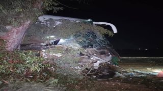 كار دخل فشجرة بسباب مضاربة بين المسافرين و الحصيلة وفاة سيدة وإصابة 10 أشخاص