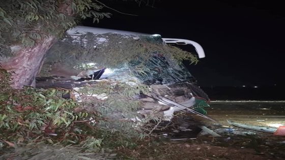 كار دخل فشجرة بسباب مضاربة بين المسافرين و الحصيلة وفاة سيدة وإصابة 10 أشخاص