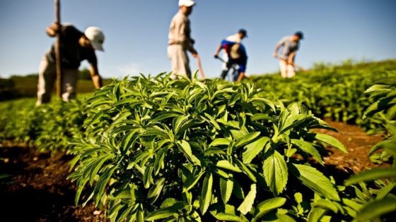جهة الشرق: التساقطات المطرية الأخيرة تعزز الموارد المائية وتنعش النشاط الفلاحي