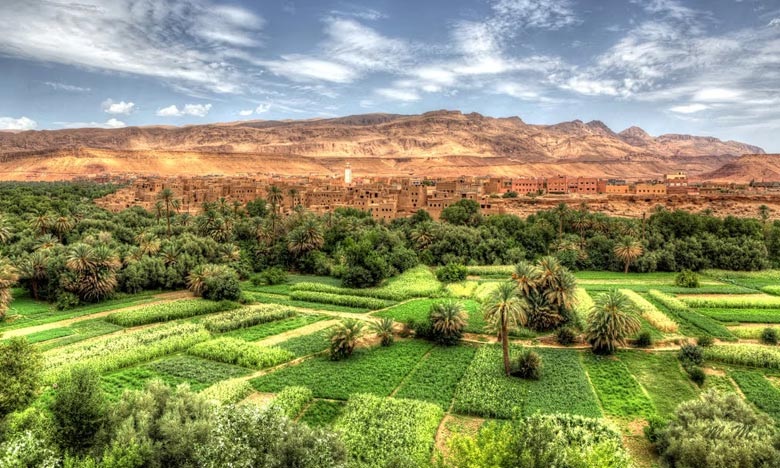 أمطار الخير تنعش واحات تافيلالت