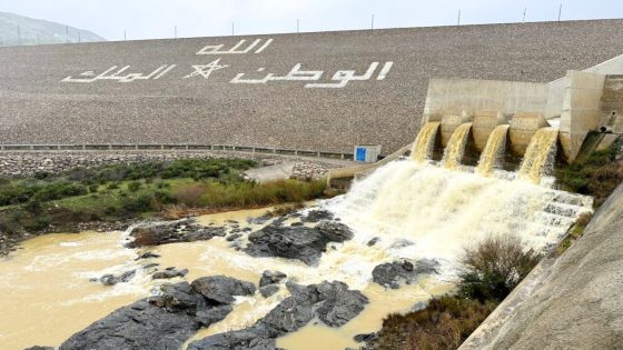 إقليم جرادة: تحسن ملحوظ في حالة المراعي نتيجة الأمطار الأخيرة