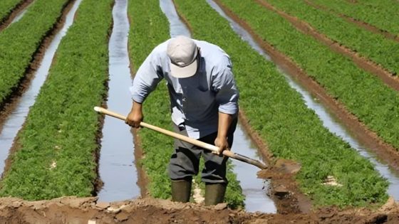 منطقة الشاوية .. إرتفاع حقينة السدود يعزز التوقعات بانتعاش مختلف السلاسل الفلاحية