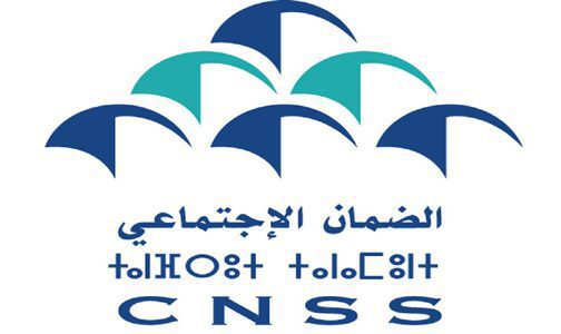 هجوم سيبيراني على الصندوق الوطني للضمان الاجتماعي: التحقيقات الأولية بشأن الوثائق المسربة مكنت من الوقوف على طابعها المضلل في كثير من الأحيان، وغير الدقيق أو المبتور