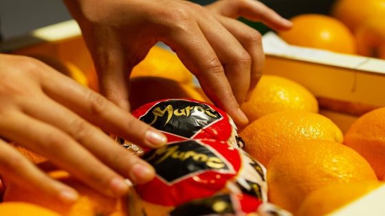 بني ملال-خنيفرة.. تحسن ملحوظ في إنتاج الحوامض وآفاق واعدة للموسم الفلاحي 2025-2026