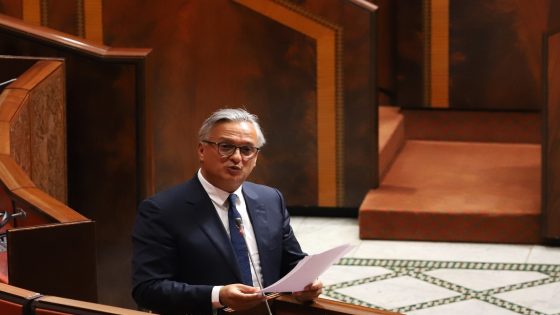 زيدان: اللجنة الوطنية للاستثمارات صادقت على 59 مشروعا بالأقاليم التي يغلب عليها الطابع القروي بقيمة تفوق 46 مليار درهم