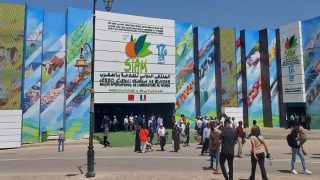 الملتقى الدولي للفلاحة بالمغرب.. أبرز أرقام الدورة السابعة عشر