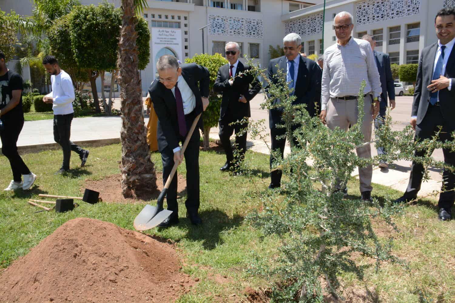 وجدة: تخليد اليوم العالمي لشجرة الأركان