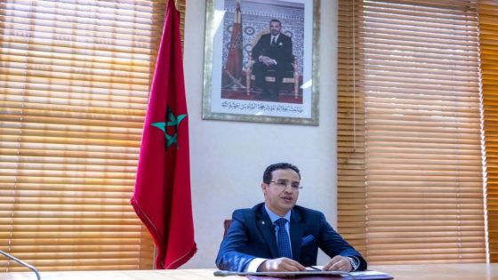 الخدمة العسكرية 2025.. إدلمغيس: تعبئة مجموعة من الوسائل التكنولوجية لمساعدة الأشخاص الذين تعذر عليهم ملء استمارة الإحصاء بوسائلهم الخاصة