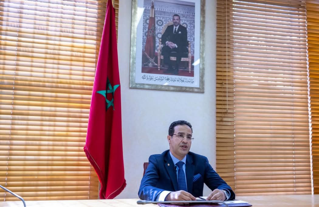 الخدمة العسكرية 2025.. إدلمغيس: تعبئة مجموعة من الوسائل التكنولوجية لمساعدة الأشخاص الذين تعذر عليهم ملء استمارة الإحصاء بوسائلهم الخاصة