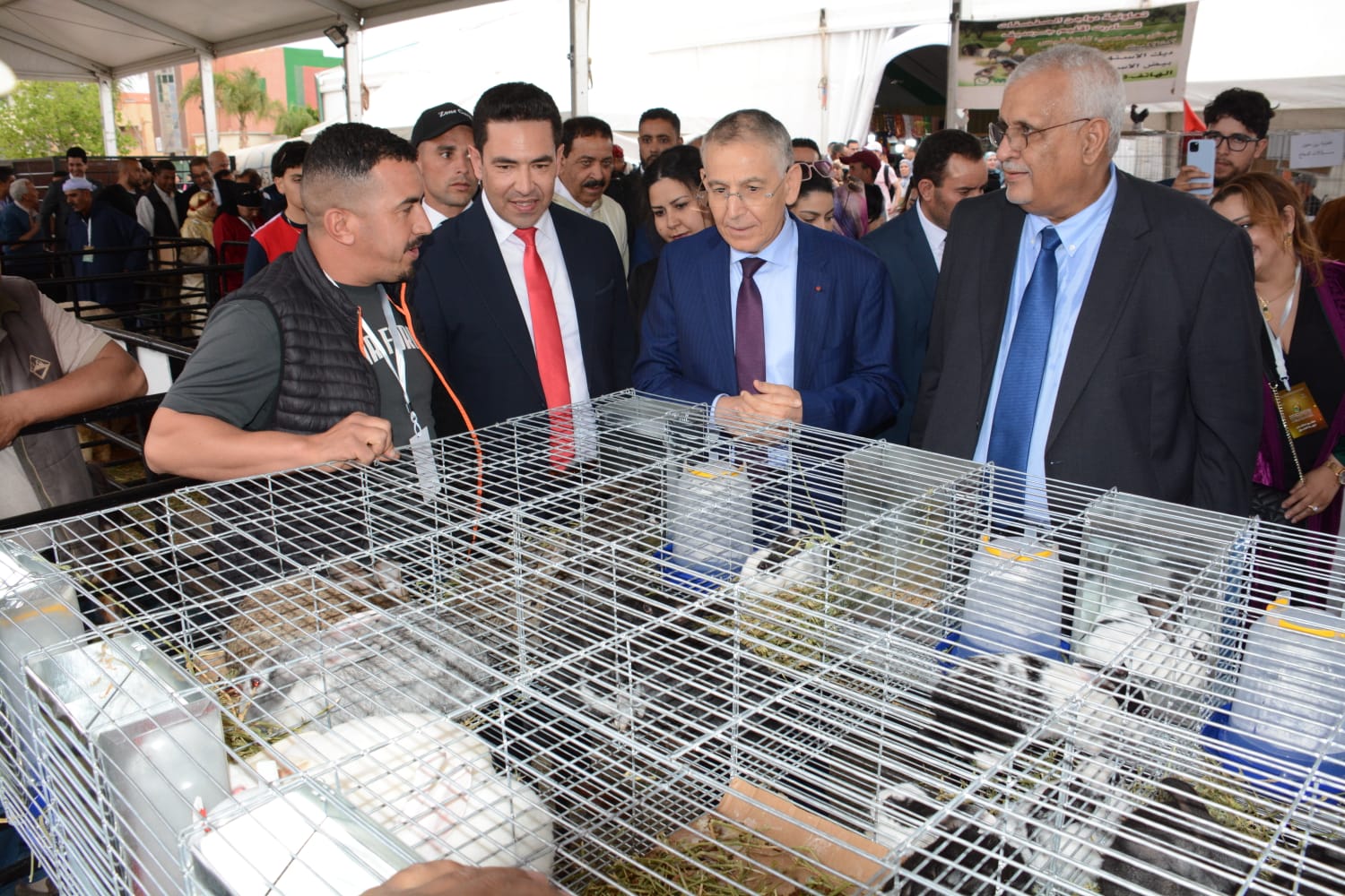 وجدة: المعرض الجهوي للاقتصاد الاجتماعي والتضامني يجسد دينامية تنموية وشراكة إفريقية واعدة