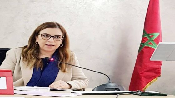 ابن يحيى: نحو 36 في المائة من مستفيدات برنامج التمكين الاقتصادي يتحدرن من العالم القروي