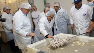 العرائش.. الدريوش في زيارة ميدانية لوحدات صناعية متخصصة في تثمين المنتجات البحرية