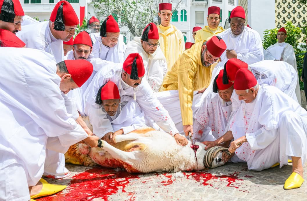 أمير المؤمنين يؤدي صلاة عيد الأضحى المبارك بمسجد الحسن الثاني بتطوان ويتقبل التهاني بهذه المناسبة السعيدة
