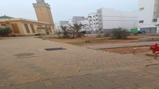 سكان إقامة بعين حرودة يُناشدون الجهات الوصية للتدخل العاجل لمواجهة أزمة انتشار النفايات وإهمال الفضاءات الخضراء