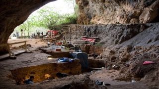 دراسة تسلط الضوء على الغطاء الغابوي المحلي من خلال أبحاث أركيولوجية بمغارتي الحمام بتافوغالت والغفص بوجدة